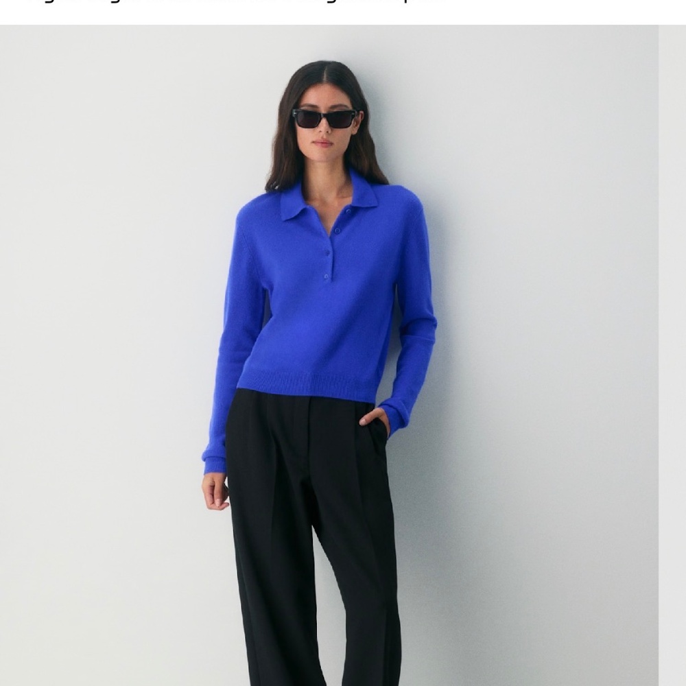 Aritzia cashmere polo - Picture 2 of 6